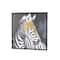 32" x 32" Black Canvas Zebra Framed Wall Art with Gold Foil Accents